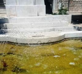 Trani, l'acqua gialla rende impresentabile la vasca ornamentale di piazza Libertà: oggi la pulizia di Amiu