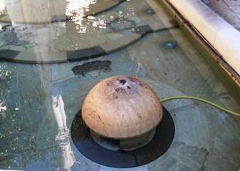 La fontana ornamentale di piazza Libertà è tornata pulita: stamani l'intervento di Amiu Trani