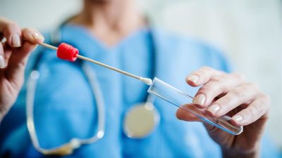 Bollettino Coronavirus, ritorna lo zero in Puglia: non ci sono nuovi positivi, né decessi