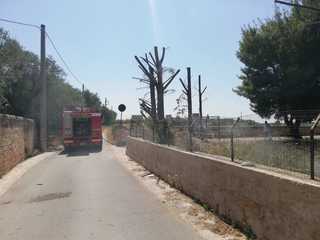 Via Monte d'Alba, ieri pomeriggio incendio in un terreno privato: sul posto vigili del fuoco e polizia locale