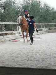 Xiao Yan e Time Aut insieme per l'equitazione integrata: domani l'esibizione a cavallo dei piccoli