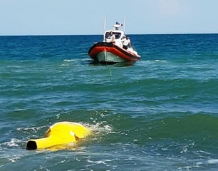 Trani, boa pericolosa abbandonata a levante: rimossa da Guardia costiera e Amiu
