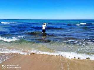 Mare d'estate, i dati di Arpa e Legambiente ancora una volta distanti anni luce