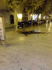 Trani, continuano gli episodi di teppismo: questa notte rovesciate fioriere in via Mario Pagano