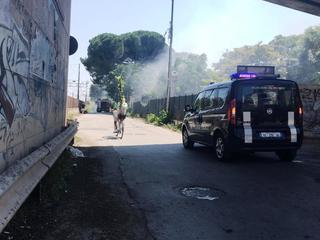Trani, ennesimo incendio nell'area del rudere di via Verdi: a fuoco sterpaglie, plastica e rifiuti