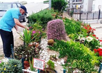 Trani Sant'Angelo e la scarpata trasformata in giardino: il bell'esempio di Ferdinando, Ruggiero ed altri residenti di via Cecoslovacchia