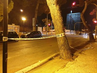 Verde pubblico a Trani, vietato parcheggiare sotto due pini in via De Gemmis. Intanto, coperti con 90mila euro gli ultimi tre mesi del servizio biennale