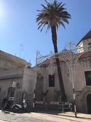 Palma adiacente la chiesa di San Francesco: verifica della stabilità affidata alla società Studio Verde srl di Torino