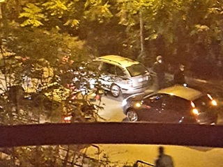 Trani, doppio incidente in via delle Forze armate: investiti prima una volpe e poi un pedone