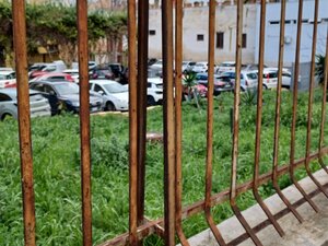 Rischio schianto, tagliati alcuni pini dell'ex ospedaletto