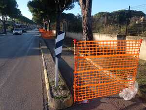 Via Martiri, i residenti: «Basta pini». E Centrone: «Ridiamole sicurezza e decoro»