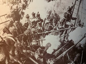 Rubrica storica: piazza San Francesco e l’Albero della libertà