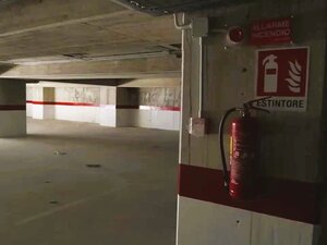 Interrato, Lima (Fdi): «Affidamento esterno è sconfitta, avrebbe dovuto gestirlo Amiu»