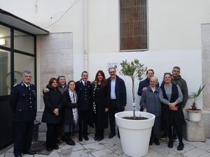 «L’ulivo di Gino»: un simbolo di pace e dignità negli istituti penitenziari di Trani