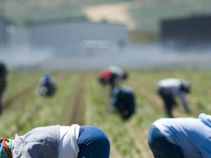Caporalato, protocollo in Prefettura per rafforzare i controlli