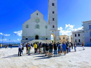 Turismo, Bat cresce ancora: nel 2025 oltre mezzo milione di presenze