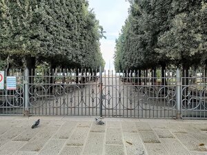Allerta meteo arancione: chiusa la villa comunale, monitoraggio costante del territorio