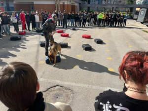Educazione alla legalità, le Fiamme Gialle incontrano gli alunni della Rbpd