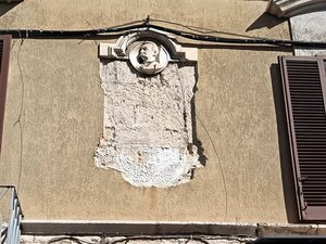 Lapide Cotugno e palma, in piazza Libertà due simboli di un'incuria che dura