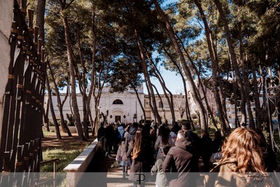 Verde, mai una gioia: domani riapre la villa, ma chiude pineta Cappuccini: alberi a rischio schianto