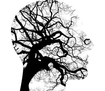 vnews